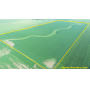 October 29, 2024 10:30 A.M. --Live Public Farmland Auction Of 71.74+/- Acres Of Farmland