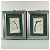 (2pc) PAIR ANTIQUE BIRD-COLORED LITHOGRAPHS | Including: pair of Red Billed Widah color lithograph e