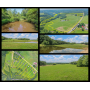 ONLINE ABSOLUTE AUCTION - 89 Ac (10 TRACTS), CREEK & PONDS