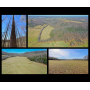 ONLINE ABSOLUTE AUCTION - 152 Acres & TIMBER (1 TRACT)