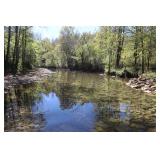 319 WOODED ACRES (2 TRACTS), RIVER & CREEK - ONLINE ABSOLUTE AUCTION