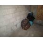 W2  Abandoned Stored Goods, Power Tools, Commercial Cookware, Home Art, Collector, Grocery, More!