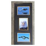"Bold Eagles" Unframed Photographic Prints by Phil Sauer