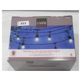 NEW Living Accents LED Edison Vintage Light Set Warm White 18 ft 10 lights