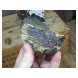 Petrified Wood-Cut Mineral Samples