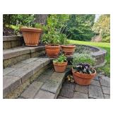 Terracotta Planters Medium Set of Three