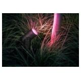 Philips Hue Lily Outdoor Smart Spot Light Base Kit