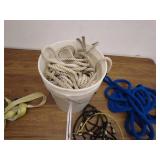 Assorted Ropes and Bungees Lot