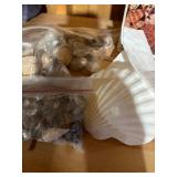 Sea Shells and more