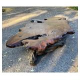 Gorgeous LARGE Natural Burl Wood Slab Coffee Table