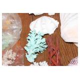 Assortment of Decorative Coral and Shells - Great for Home Decor