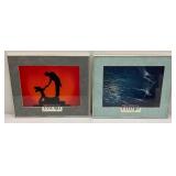 Misc. FANTASIA Lobby Cards Framed Behind Glass In Aluminum Frame 14 1/4" x 17 1/2"