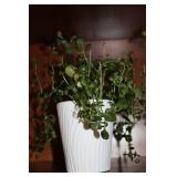 Set of 2 Potted Plants - Greenery and Orchid