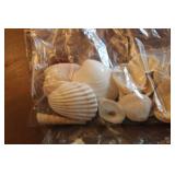 Collection of Seashells and Beach Stones - Assorted