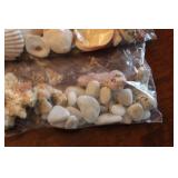 Collection of Seashells and Beach Stones - Assorted