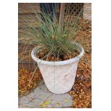 Pair of Stone Planters with Decorative Grass