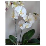 Four Faux Orchid Plants