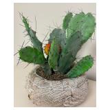 Beautiful Wooden Woven Pot with Cactus Plant