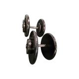 160LB Dumbbells (Four 25LBs, Four 10LBs, Two 5LBs and 10LB handlebar)