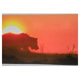 Tom Knight "Coastal Brown Bear Sunrise" Floating Metal Wall Photography