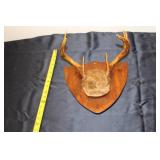 Vintage Antler Mount Plaque with Fur