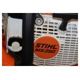 Stihl® MS250 20" Gas Chainsaw with Case