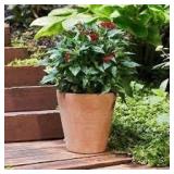 2 Planters-Southern Patio Vaso 10 in. x 10.87 in. Tall Terracotta Clay Pot, Vaso 9.8 in. x 6.7 in. Terracotta Clay Pot