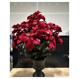 Large Poinsettia in Planter 31" Tall