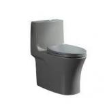 FUNKOL 28.7 in. H One-Piece 1.1/1.6 GPF Dual Flush Elongated Ceramic Toilet in Grey with Soft Close Seat  Customer Returns See Pictures