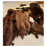 Multiple Vintage Pelts Full Body Mink Fur Taxidermy Animal Leather Scarf and Wrap Collar Shawl