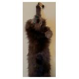 Multiple Vintage Pelts Full Body Mink Fur Taxidermy Animal Leather Scarf and Wrap Collar Shawl