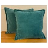 Pair of Teal and Tan Accent Pillows