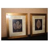 Set of 2 Framed Botanical Prints by Julie Greenwood