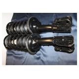 Set of 2 Complete Strut Assemblies and Shock Absorbers