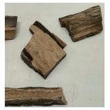 Assorted Pieces of PETRIFIED WOOD -Qty 5