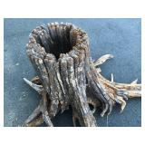 Great Looking Large Hollow Tree Stump w/Roots