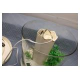 Fish Tank Filter with Aquatic Plants and Fish Food Supplies