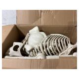 60" White Skeleton Dog, Halloween Decoration, by Way to Celebrate