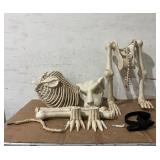 60" White Skeleton Dog, Halloween Decoration, by Way to Celebrate