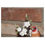 Handcrafted Figurine of European Goldfinch on Blossom Tree Branch