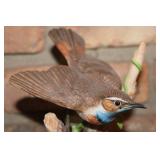 Limited Edition Bluethroat Figurine by Arthur Singer - National Audubon Society