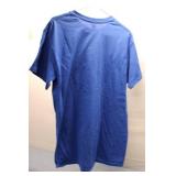 Lot of 10 Gildan Cotton T-Shirts in Various Colors and Sizes