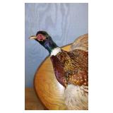 Mounted Taxidermy Pheasant Display