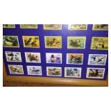 Collection of Framed Wildlife and Waterfowl Stamps