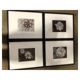 StyleWell 16" x 20" Matted to 8" x 10" Black Gallery Wall Picture Frame (Set of 4) Customer return Review all pictures