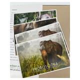 PROBOSCIDEA -The Emotional Lives of Elephants by Hamish John Appleby - Coffee Table Book