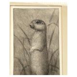 Vintage Framed Native American Artist Etching GROUND SQUIRREL by OMAR