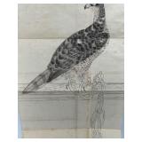 Antique Japanese Print of a Hawk Ink on Paper Unknown Artist