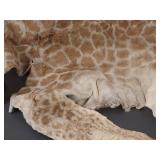 Genuine Giraffe Hide