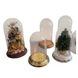 Variety of Glass Cloches